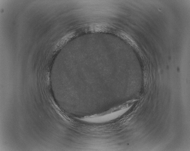 X0000062630401200601181725