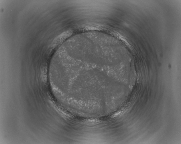 X0000062630402200601181725