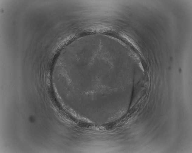 X0000062630403200601181725