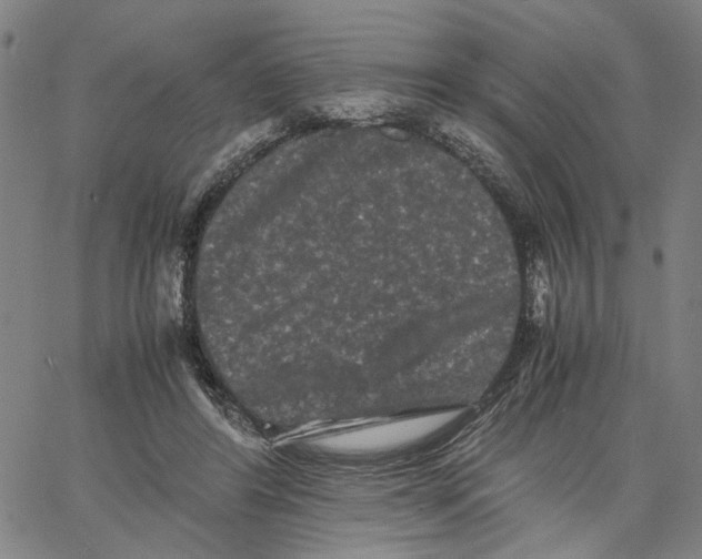 X0000062630404200601181725