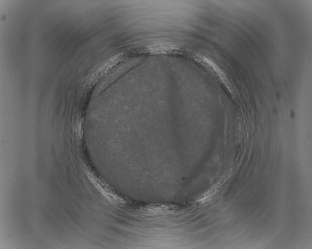 X0000062630405200601181725