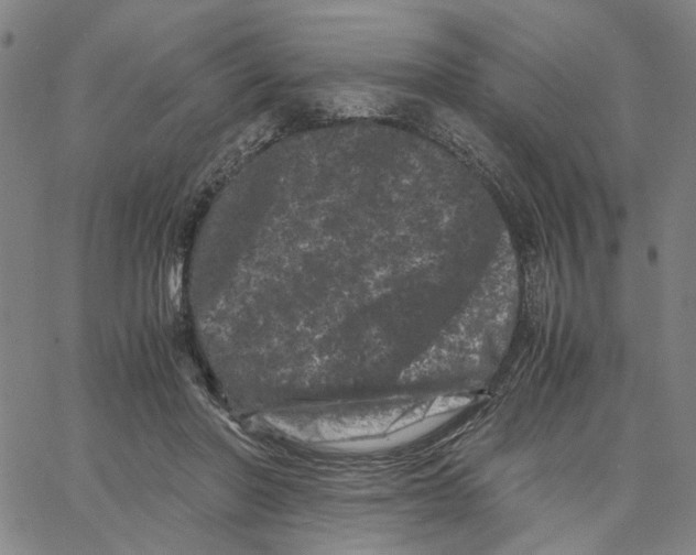 X0000062630406200601181725