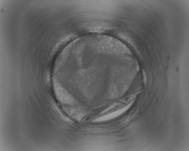 X0000062630407200601181725