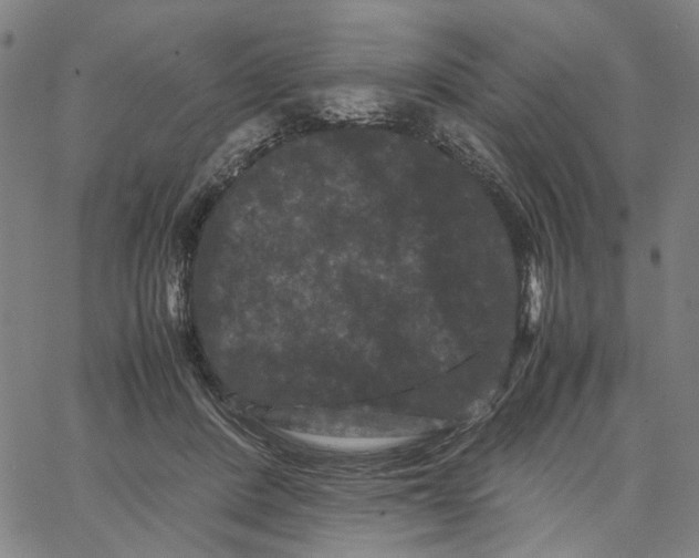 X0000062630408200601181725