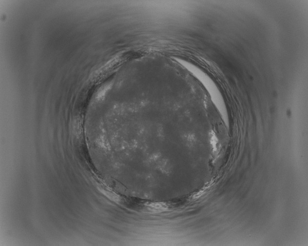 X0000062630409200601181725