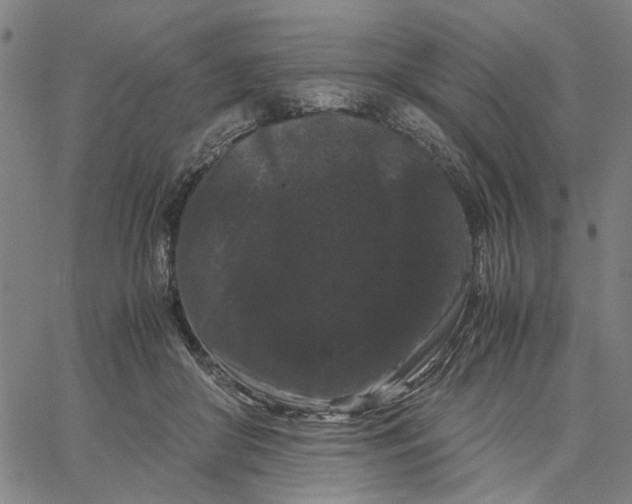 X0000062630410200601181725