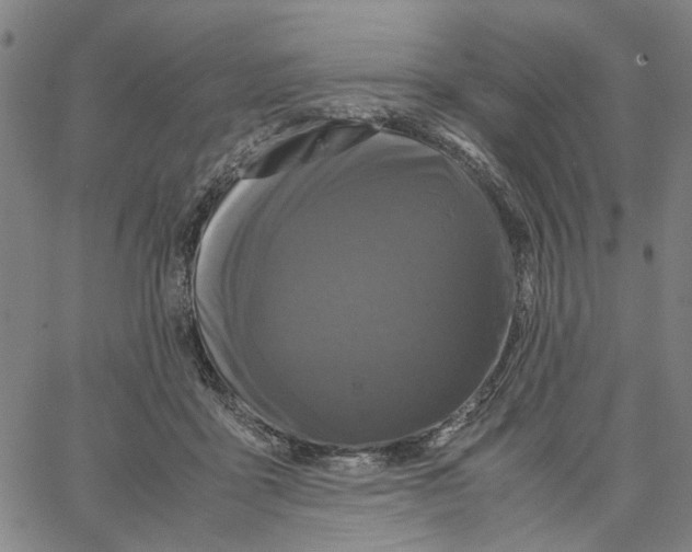 X0000062630411200601181725