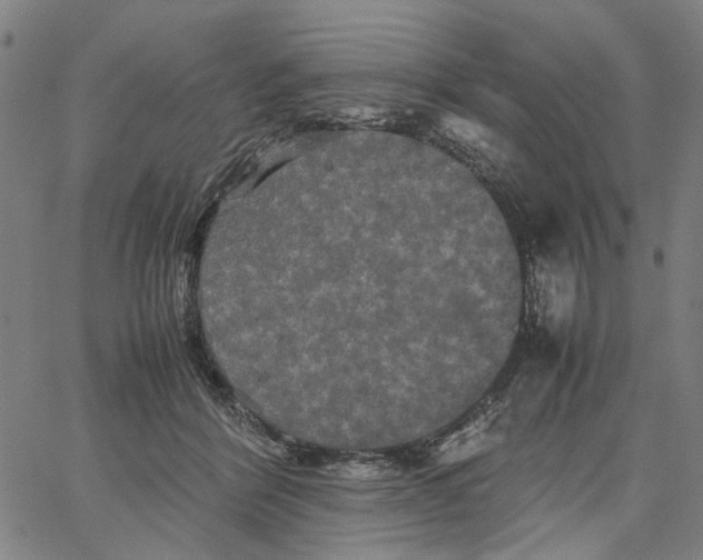 X0000062630412200601181725