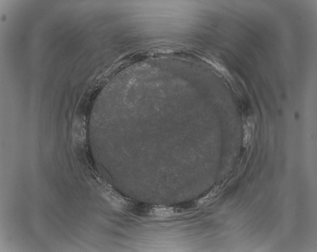 X0000062630413200601181725