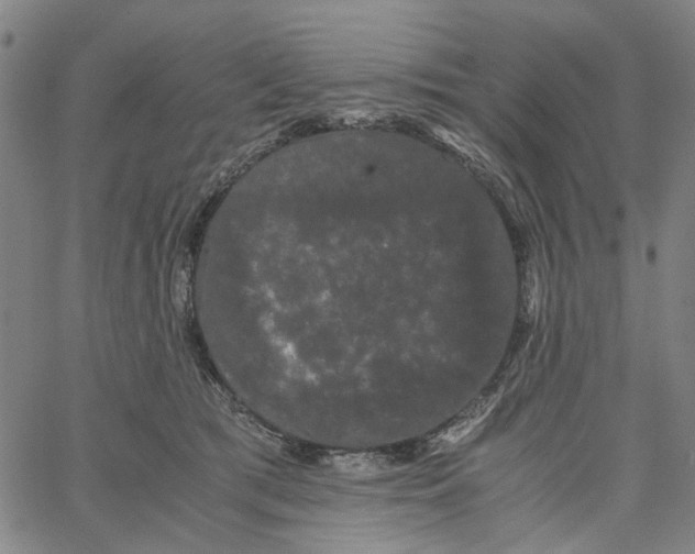 X0000062630417200601181725