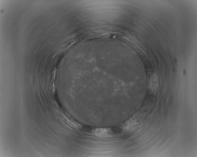 X0000062630418200601181724