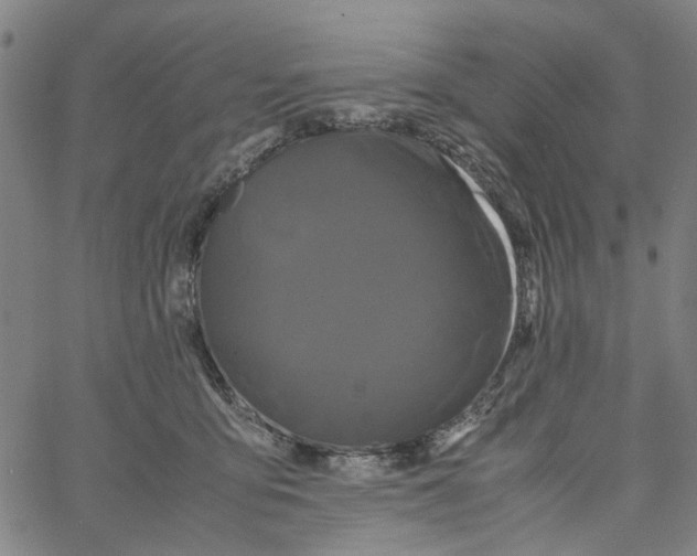 X0000062630419200601181724