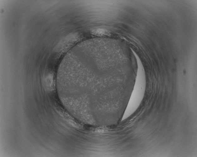 X0000062630420200601181724