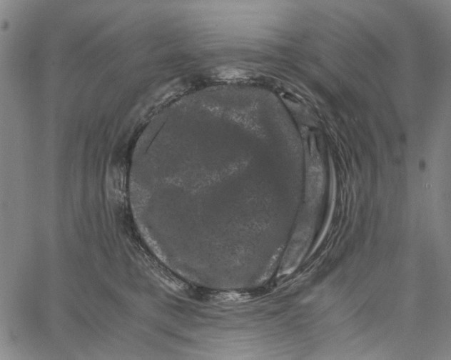 X0000062630421200601181724