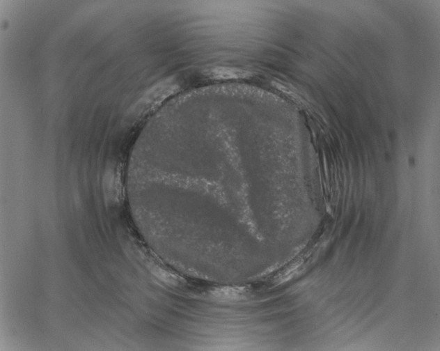 X0000062630422200601181724