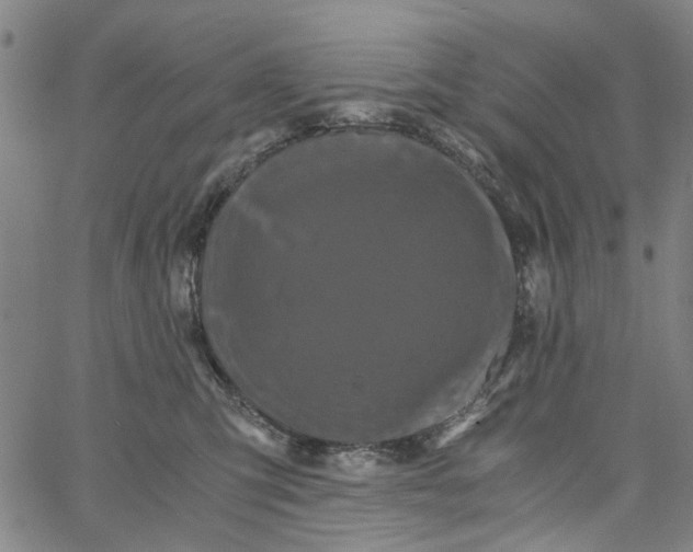 X0000062630423200601181724