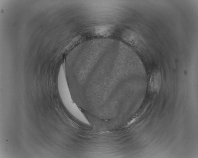 X0000062630424200601181724