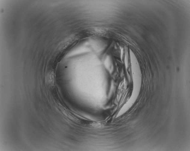 X0000062630425200601181724