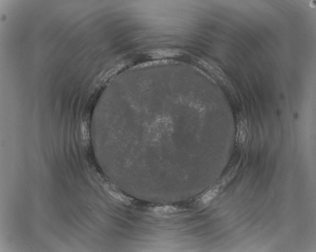 X0000062630426200601181724