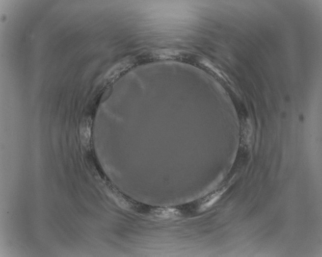 X0000062630427200601181724