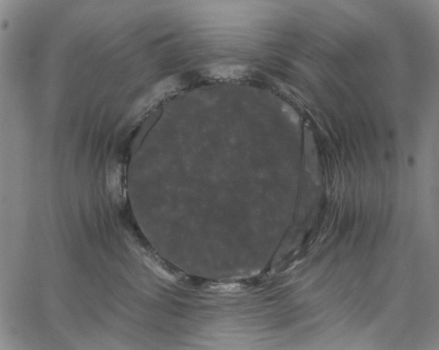 X0000062630428200601181724