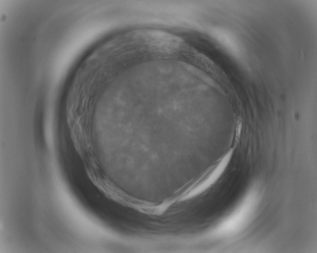 X0000062630431200601181724