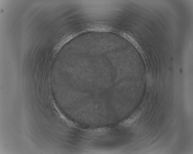 X0000062630433200601181723