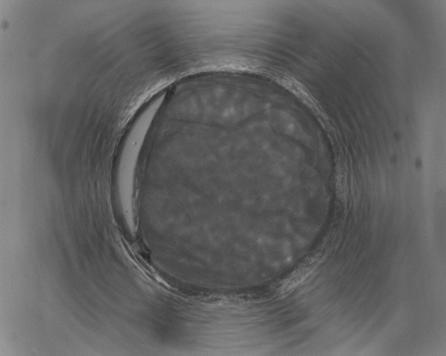 X0000062630434200601181724