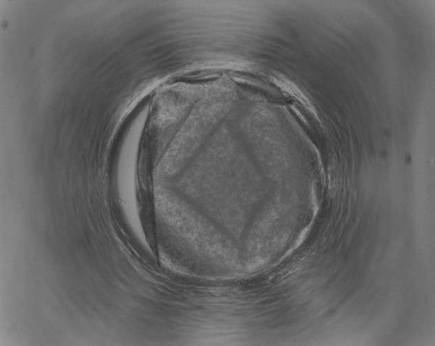 X0000062630436200601181724