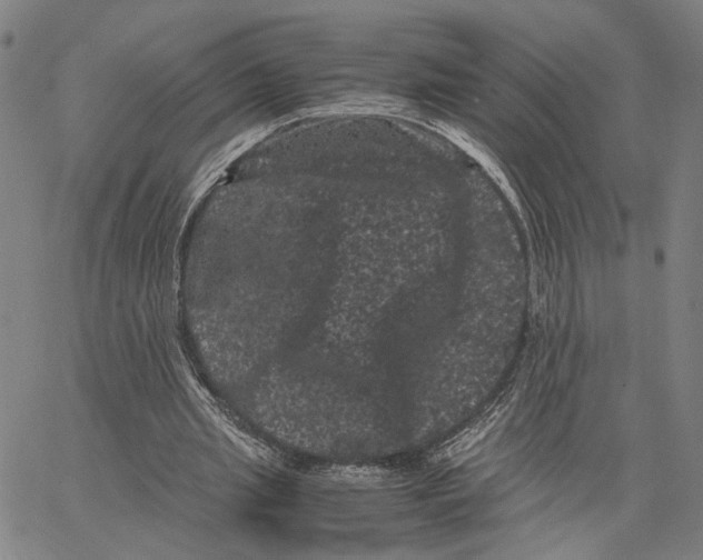 X0000062630437200601181724