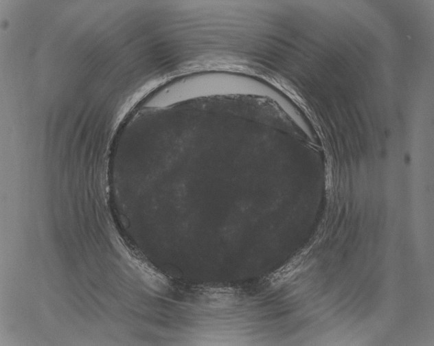 X0000062630438200601181724