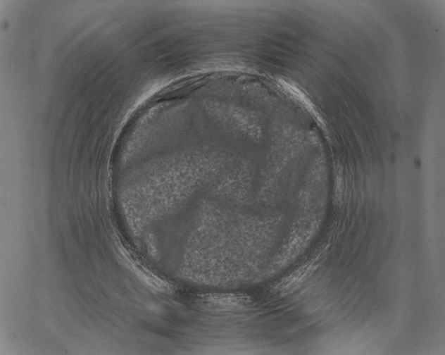 X0000062630439200601181724