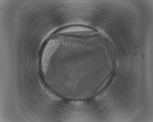 X0000062630440200601181724