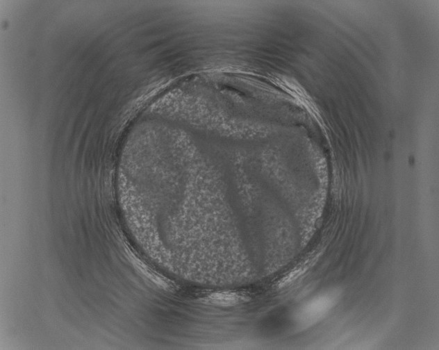 X0000062630441200601181724