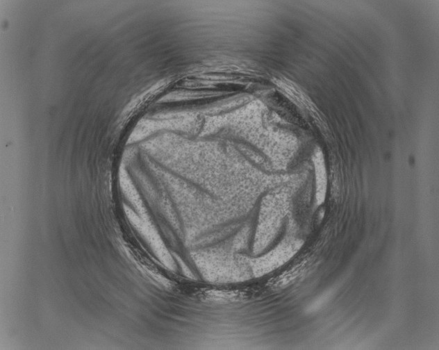 X0000062630442200601181724