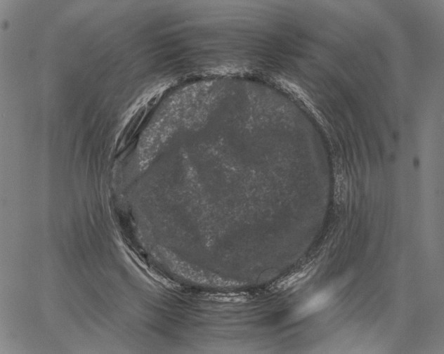 X0000062630443200601181724