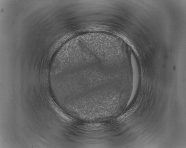 X0000062630445200601181724