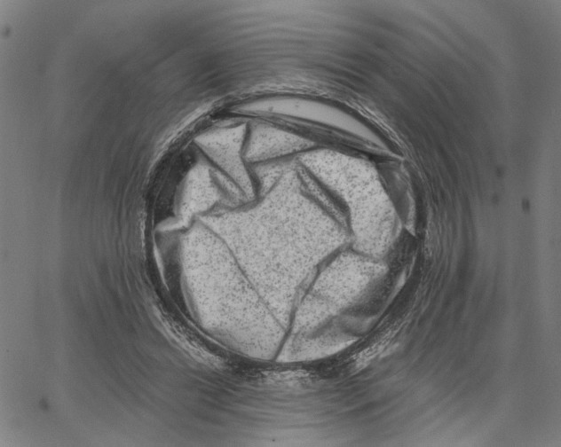 X0000062630446200601181724