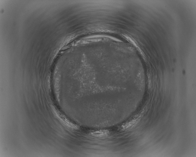 X0000062630447200601181724