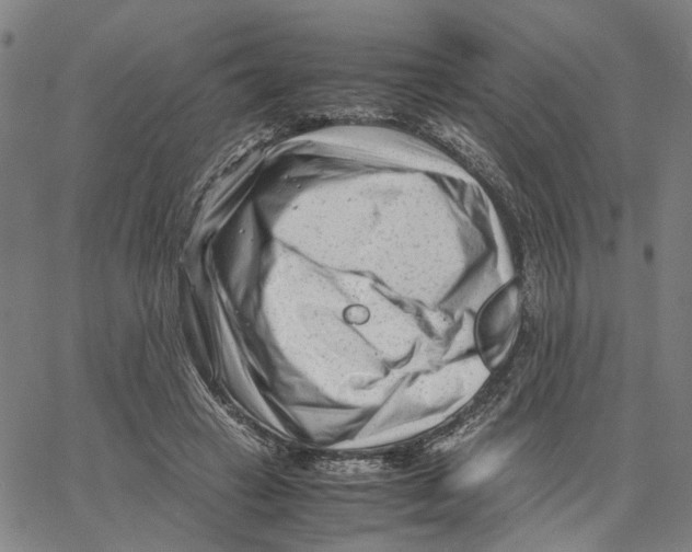 X0000062630449200601181724