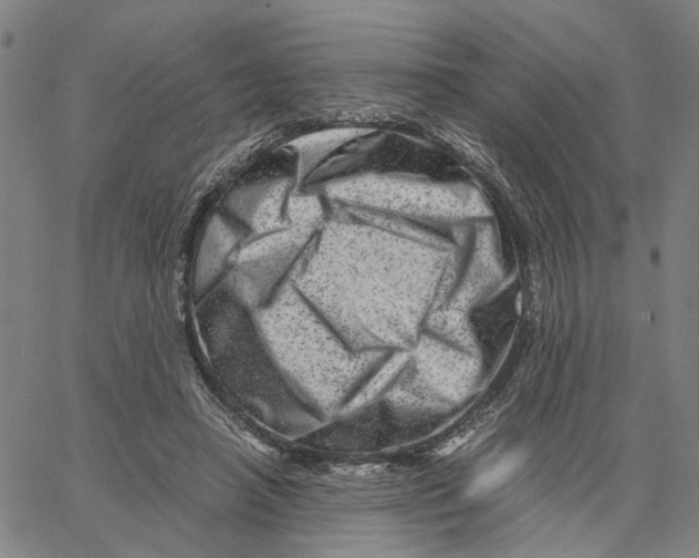 X0000062630450200601181724