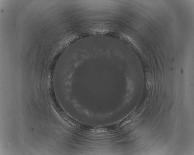 X0000062630451200601181724