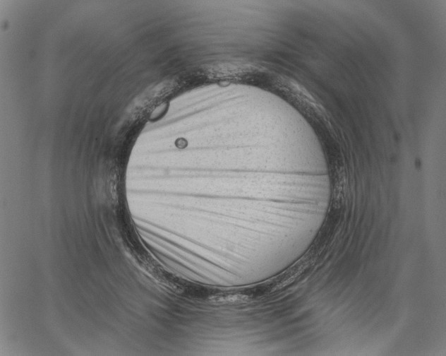 X0000062630452200601181724