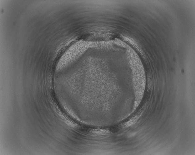 X0000062630453200601181724