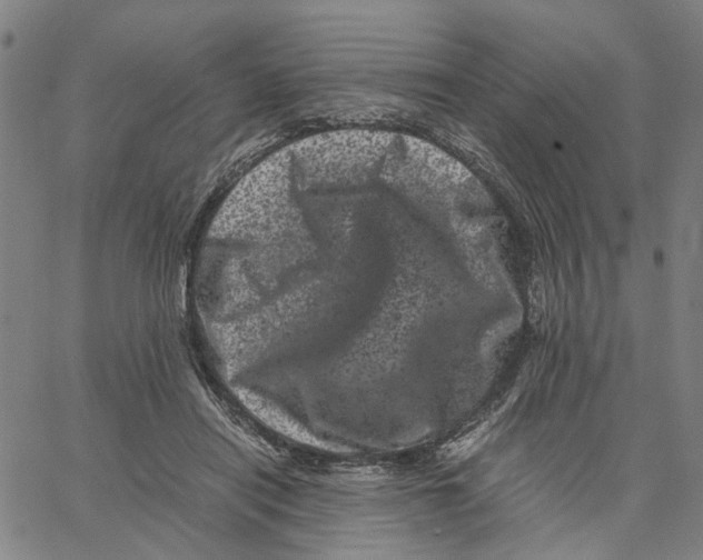 X0000062630454200601181724