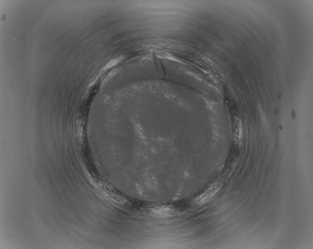 X0000062630456200601181724