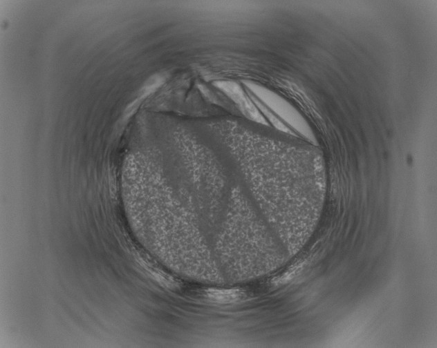 X0000062630457200601181724