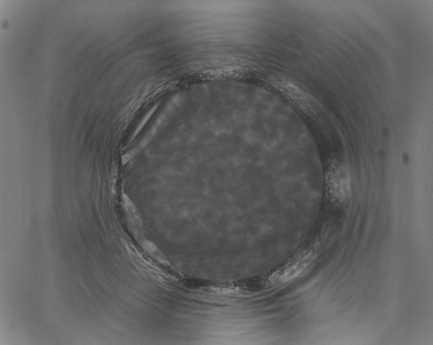 X0000062630458200601181724