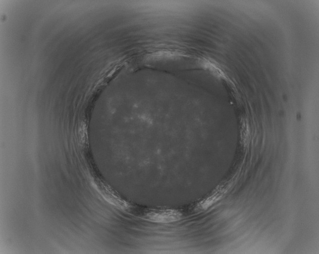 X0000062630459200601181724