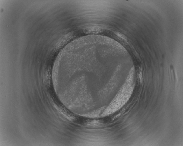 X0000062630460200601181724